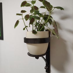Support mural forg� pour pot de fleurs en int�rieur