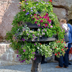 Pot de fleurs de luxe en forme d'arbre - fabriqu� à la main dans l'atelier de ferronnerie artistique UKOVMI
